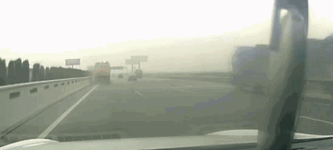 5.gif